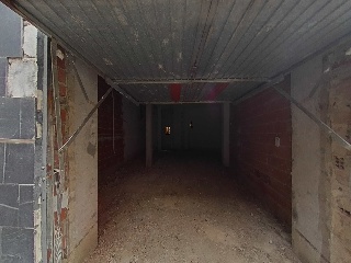 Cedaceros 14