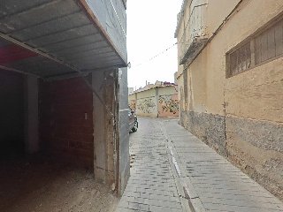 Cedaceros 15