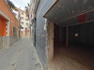 Cedaceros 16