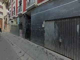 Cedaceros 17