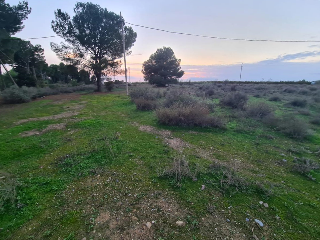 Pisos banco Lleida