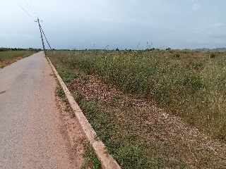 Otros en venta en Vall D'uixó (la)