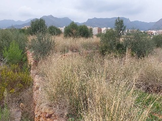 Fosaret 4