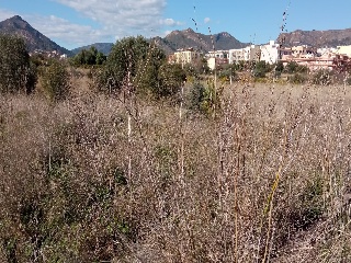 Fosaret 11