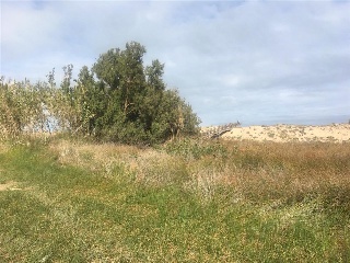 Otros en venta en Cullera