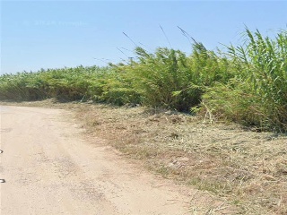 Otros en venta en Cullera