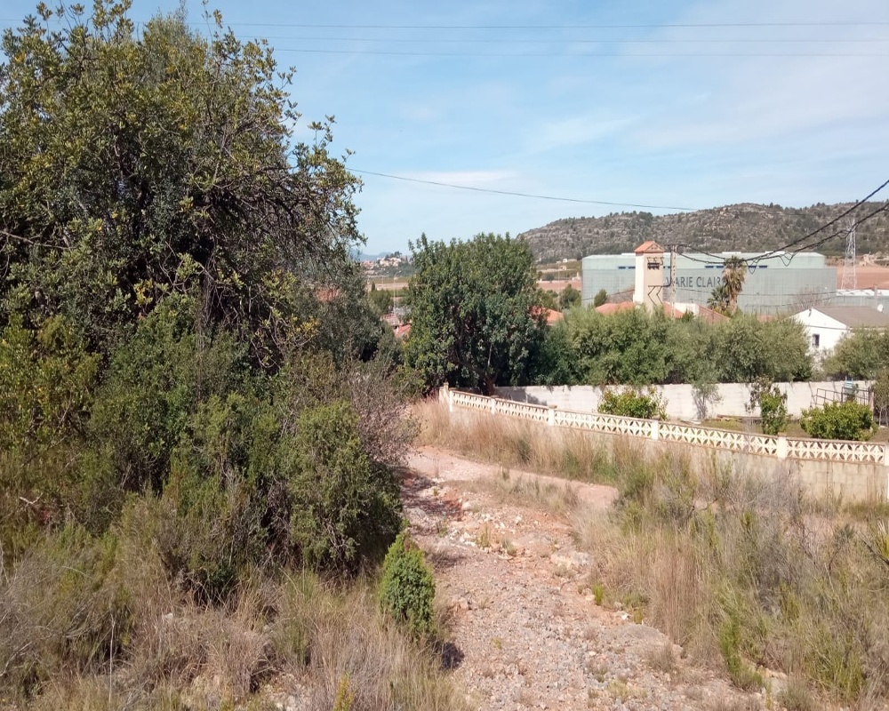 Poligono 11
