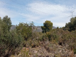 Poligono 11 4