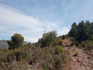 Poligono 11 5