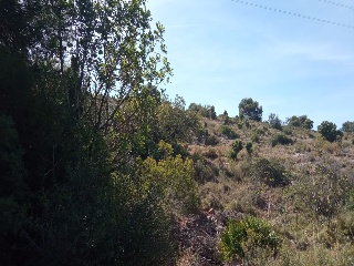 Poligono 11 6
