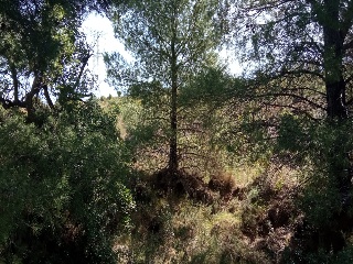 Poligono 11 7