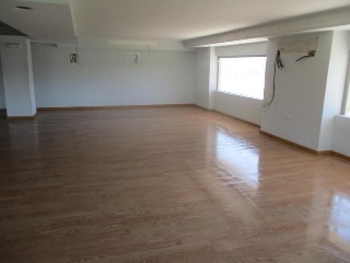 Constitucion 5