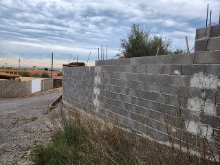 Pl Número 115 11