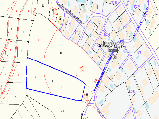 Pl Número 115 13