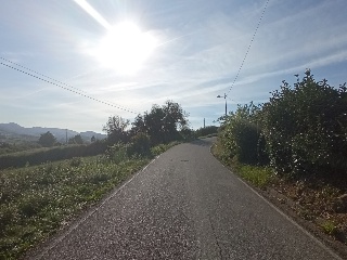 Camino de la Luz 2