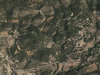 Foya Del Cac 2