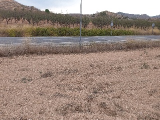 Pisos banco Pinós (el)/Pinoso