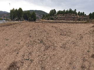 Proc. Simplificado 2