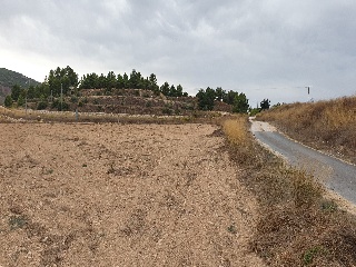 Proc. Simplificado 3