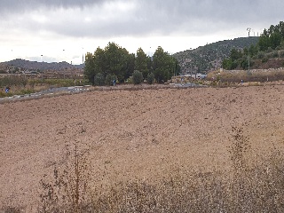 Proc. Simplificado 4