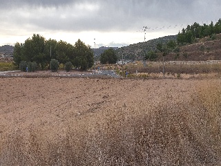 Proc. Simplificado 5