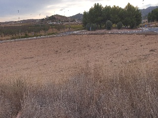 Proc. Simplificado 6