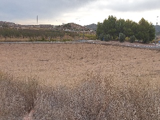 Proc. Simplificado 7