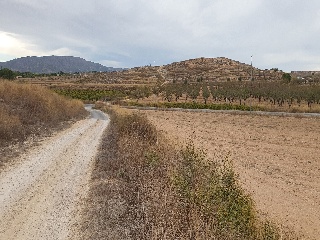 Proc. Simplificado 8