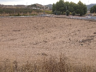 Proc. Simplificado 9