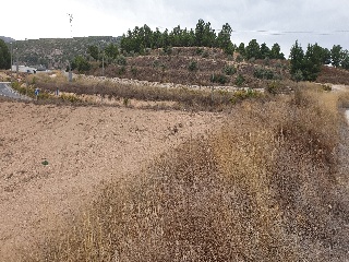 Proc. Simplificado 10