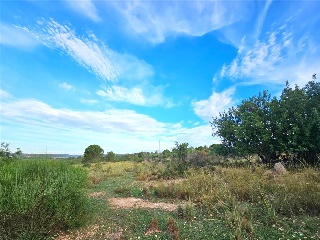 Proc. Simplificado 5