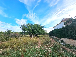 Proc. Simplificado 6