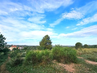 Proc. Simplificado 7