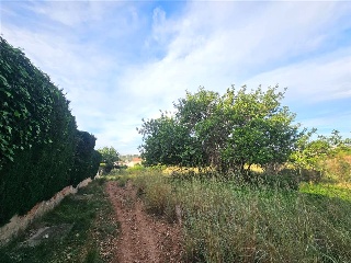 Proc. Simplificado 10