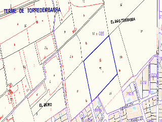 Proc. Simplificado 15