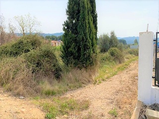 Poligono 44 12