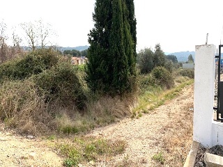 Poligono 44 4