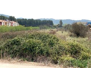 Poligono 44 5