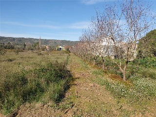 Poligono 44 7