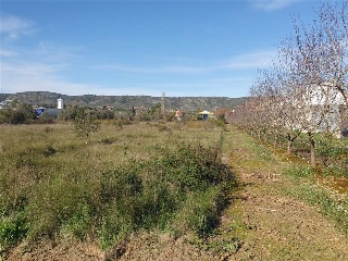 Poligono 44 8