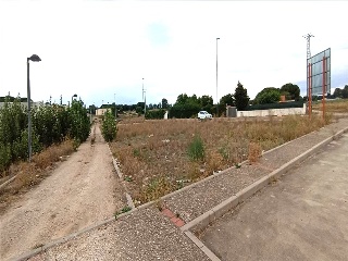 Camino De Las Lobas 4