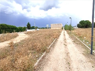 Camino De Las Lobas 5