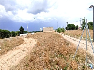 Camino De Las Lobas 6