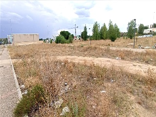 Camino De Las Lobas 7