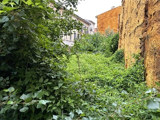 Horta D'En Font 4