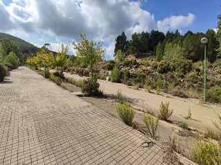 Pisos banco Siete Aguas