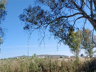 Pp-Oe-R5 7