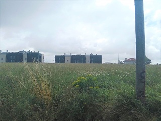 Resconorio 9