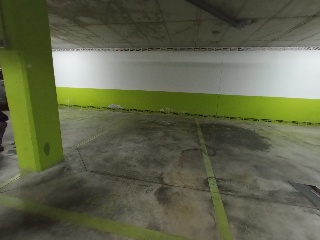 Dulce Chacon 8