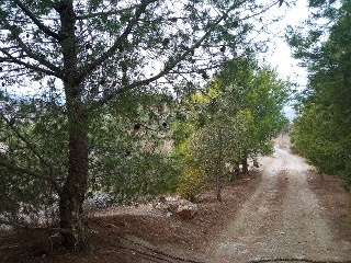 Pisos banco Tabernas